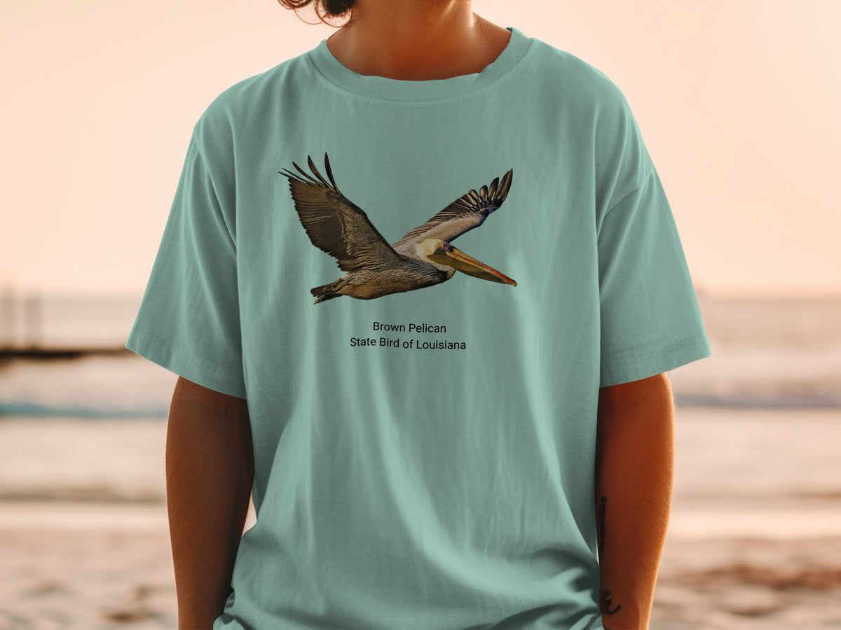 Brown pelican flying, with text "Brown Pelican State Bird of Louisiana."