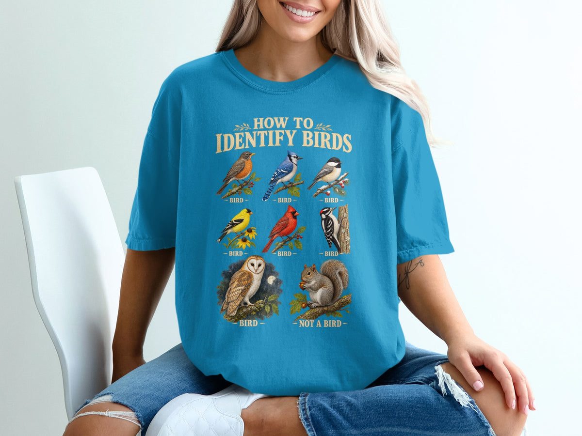 "How to Identify Birds" graphic with illustrations of various birds and a squirrel.