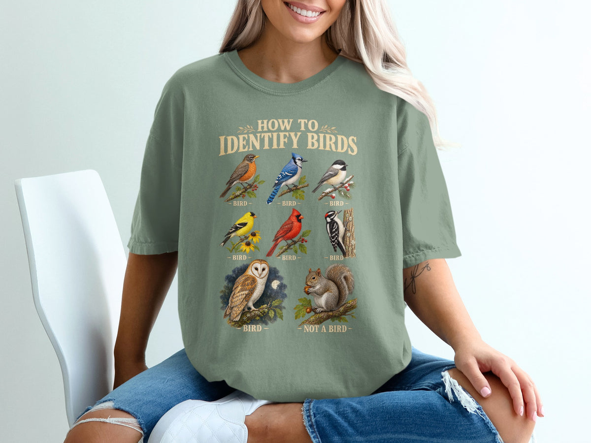 "How to Identify Birds" graphic with illustrations of birds and one squirrel.